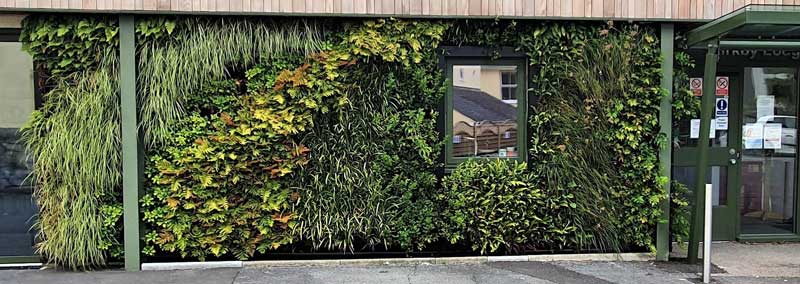 Living Wall Plymouth University