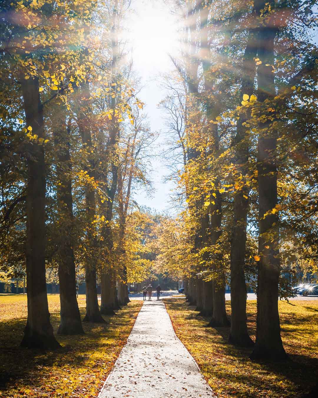 Barton-upon-humber - people walking down a narrow path between autumn trees