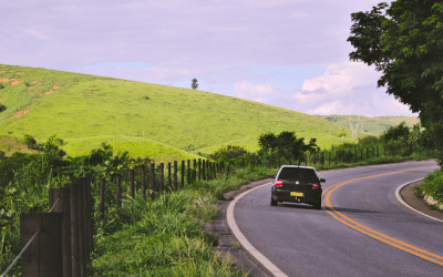 FPN Software: How UK Local Authorities overcome high volumes of environmental infringements